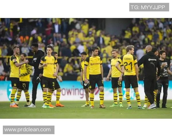 勒沃库森与多特蒙德激战17180场次分析与精彩回顾