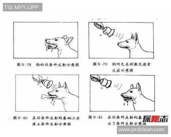 深圳极限运动队的防反策略揭秘与深度分析