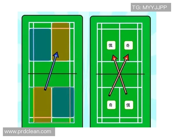 羽毛球新手必看：从基础到战术的全面入门指南