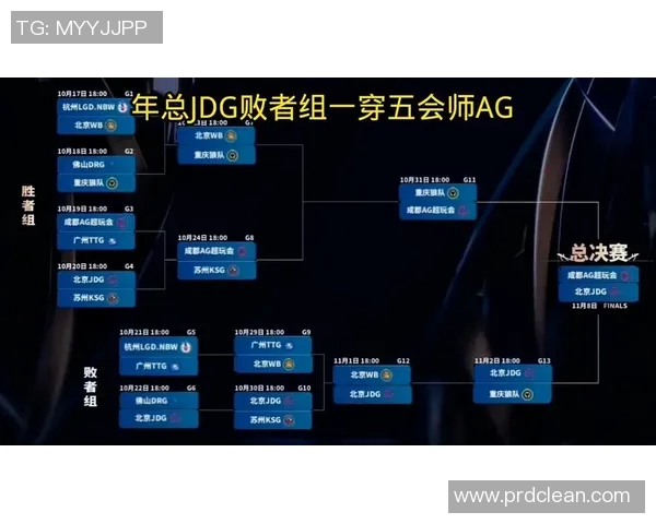 王者荣耀背后的拼搏故事：深入探讨JDG战队的成长与挑战历程